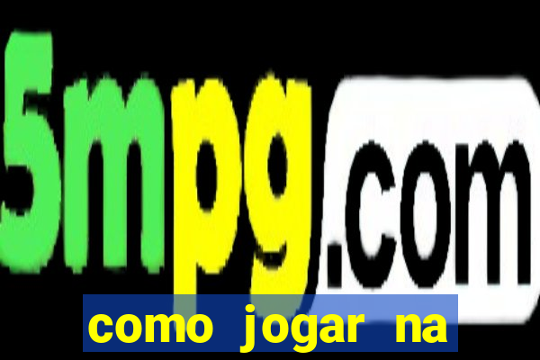 como jogar na lotinha do jogo do bicho